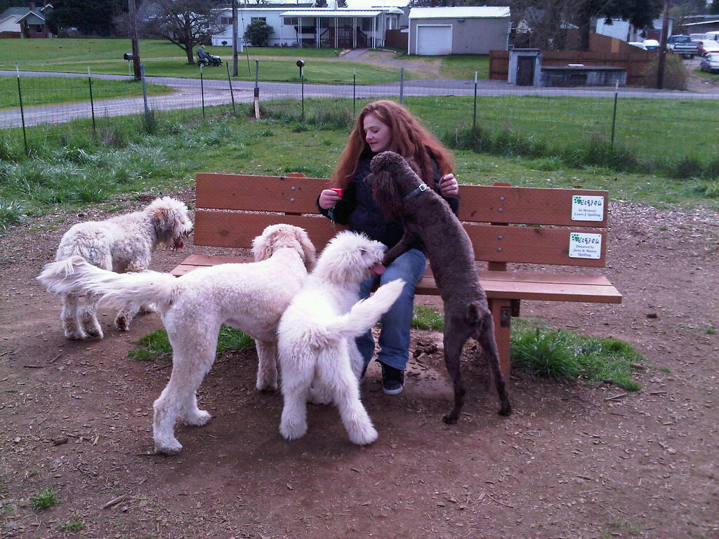 Me and my Doods at the Dog Park.