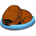 Green Boy – 6 wks – Aussiedoodle Puppy