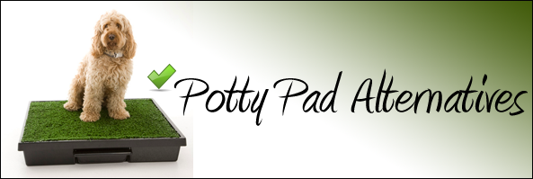 Potty Pad Alternatives