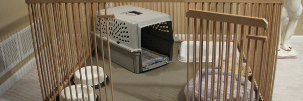 Dog Crates and Puppy X-Pen Setups