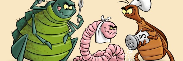 Natural Dewormer and Flea Killer – Diatomaceous Earth
