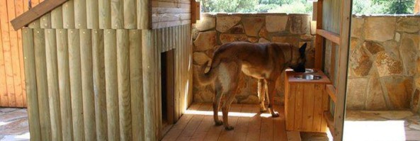 DIY Dog Houses – Dog House Plans