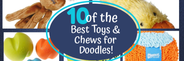 TOP 10 Best Dog Toys & Chews For Doodle Puppies!