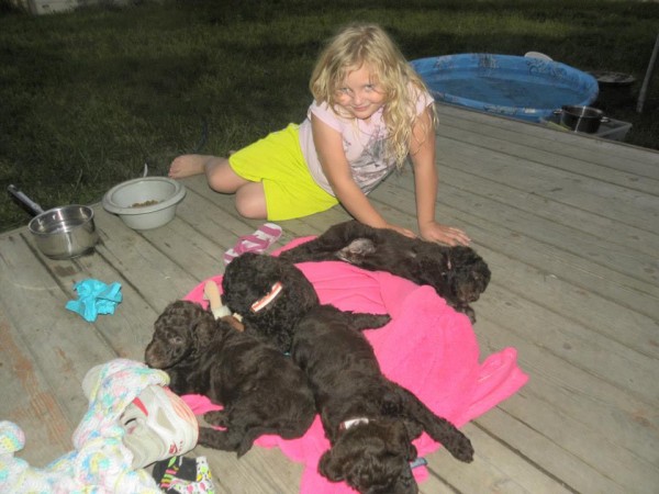 Olivia on the deck with the Labradoodle puppies
