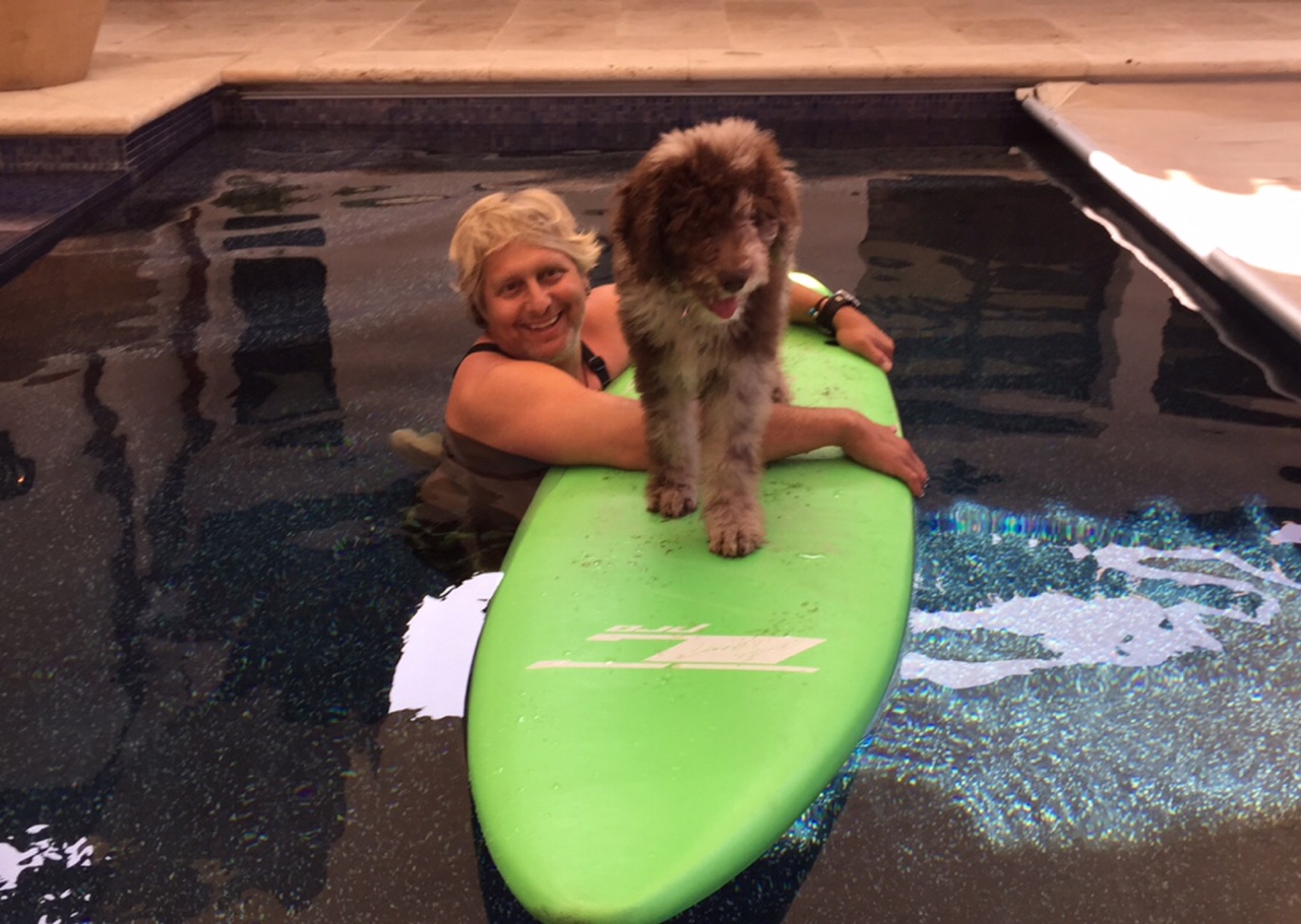 Surfing Aussiedoodle - Syd practiced with Kula in their pool.. and eventually Kula did learn to surf in the ocean!! 