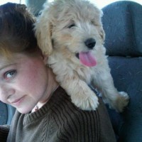 Me and Multigen Labradoodle Honey going for a ride