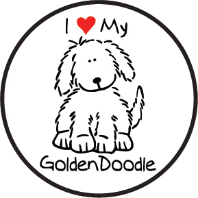 I love Goldendoodles!