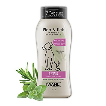 Buy Wahl Flea and Tick Shampoo on Amazon! 