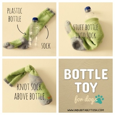 DIY Bottle Toy for Doggies