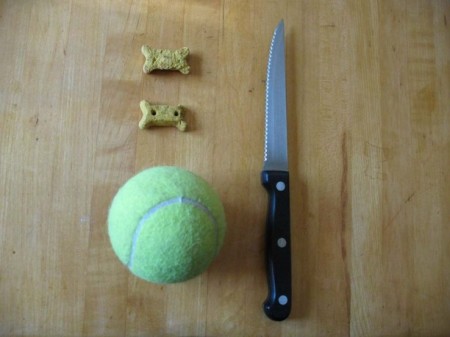 DIY Tennis Ball Treat Puzzle for Dogs