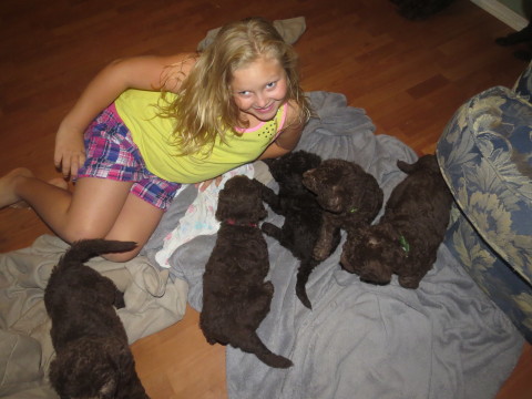 Olivia and the puppies