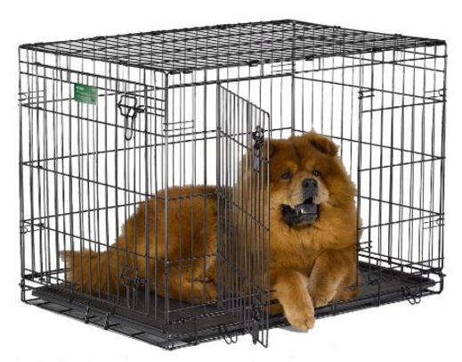 36 inch Midwest dog crate