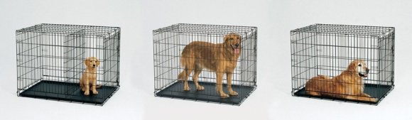 The same crate can be used from Puppy to Adulthood by using the divider