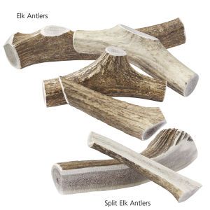 Elk Antlers for Dogs and Puppies