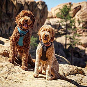 SGODA Dog Harness Reflective Pet Vest Harness with Handle