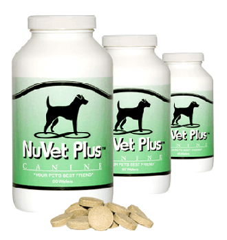 Nuvet Plus Wafers for Dreamydoodle Puppies Immune Support