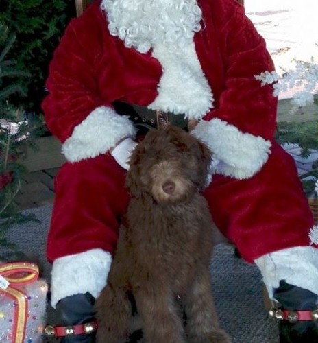 Finley with Santa 2015