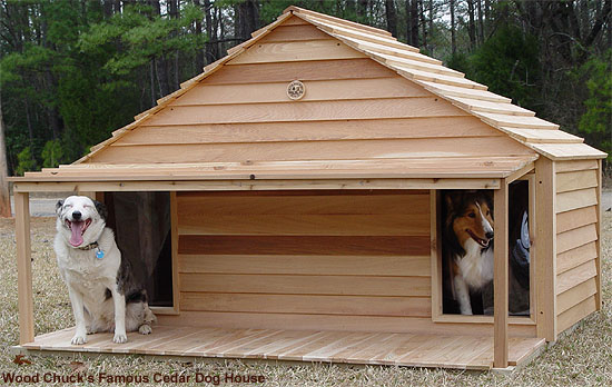 large-duplex-dog-house-3
