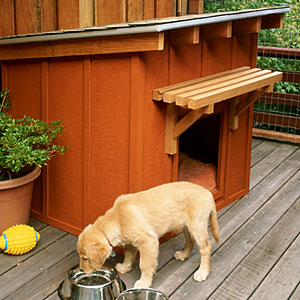 Build a mini ranch house for your pooch