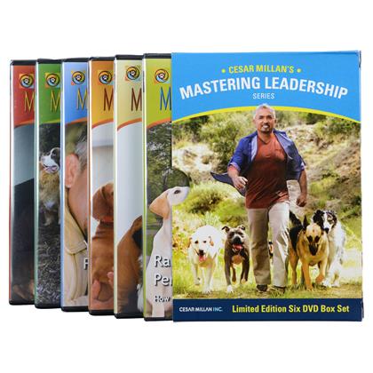 Cesar Millan Mastering Leadership Series Six DVD Box Set for Dog Training and Behavior