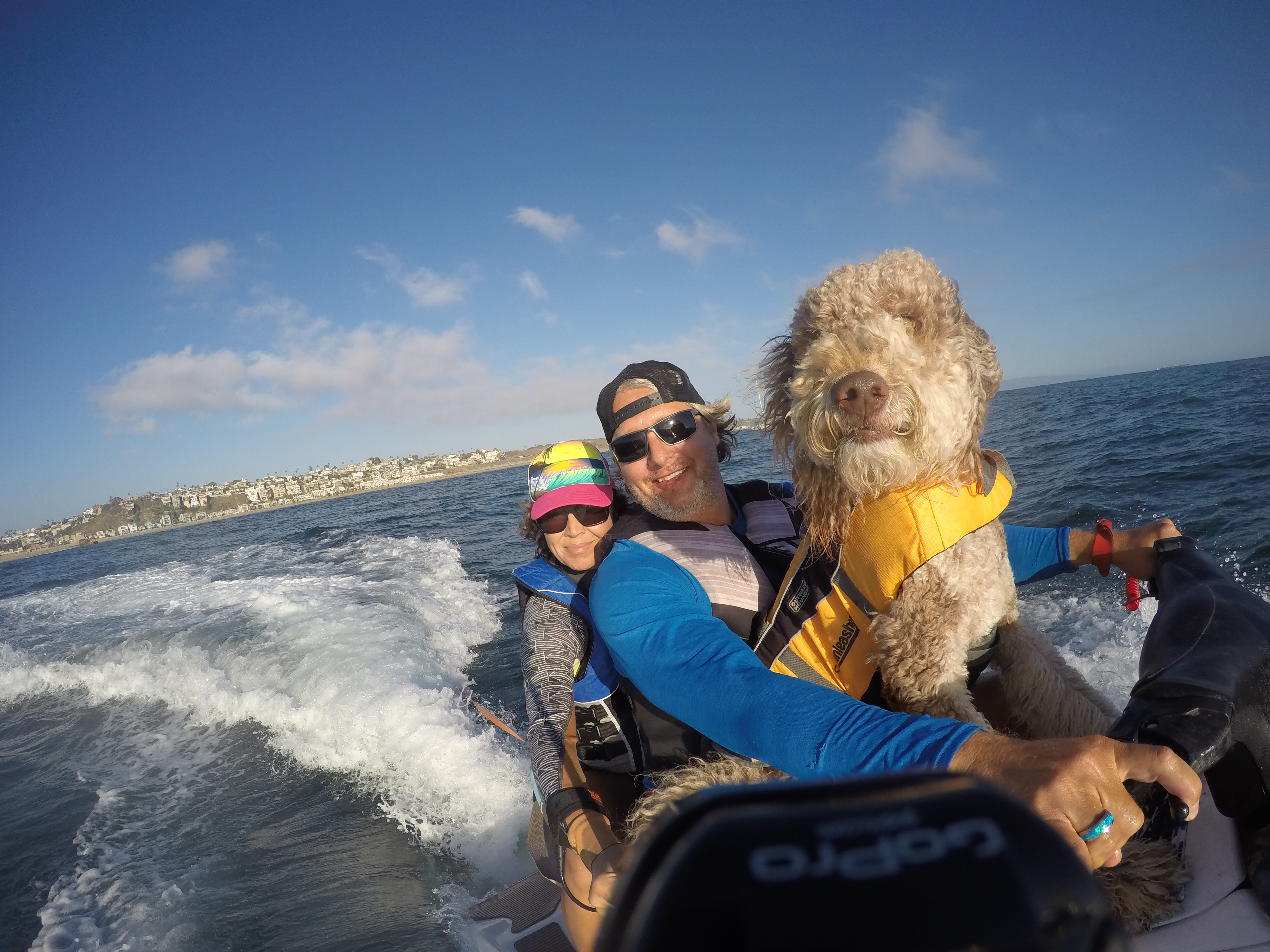 Aussiedoodle Kula and owner Syd on a wave runner