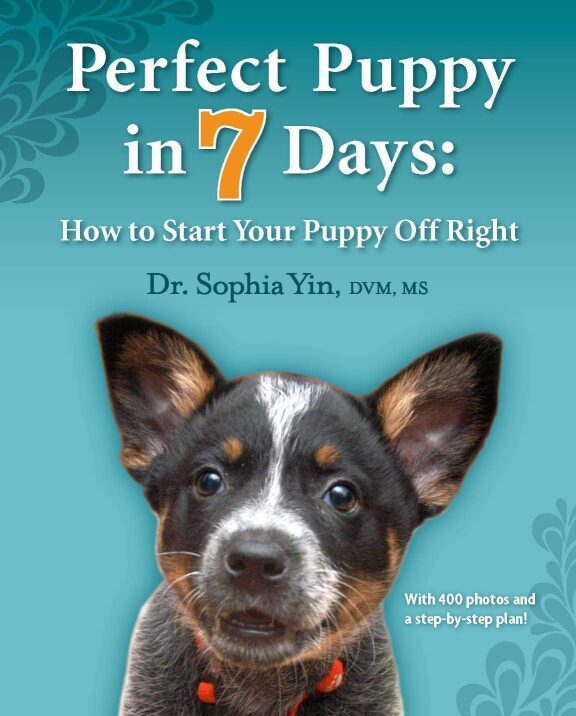 Perfect-Puppy-in-7-Days