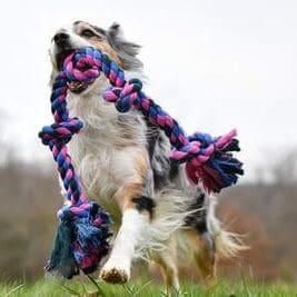 Mammoth Flossy Chews Rope Tug – Premium Cotton-Poly Tug Toy for Dogs – Interactive Rope Toy