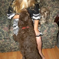 Red Girl giving kisses to Olivia - F1B Labradoodle
