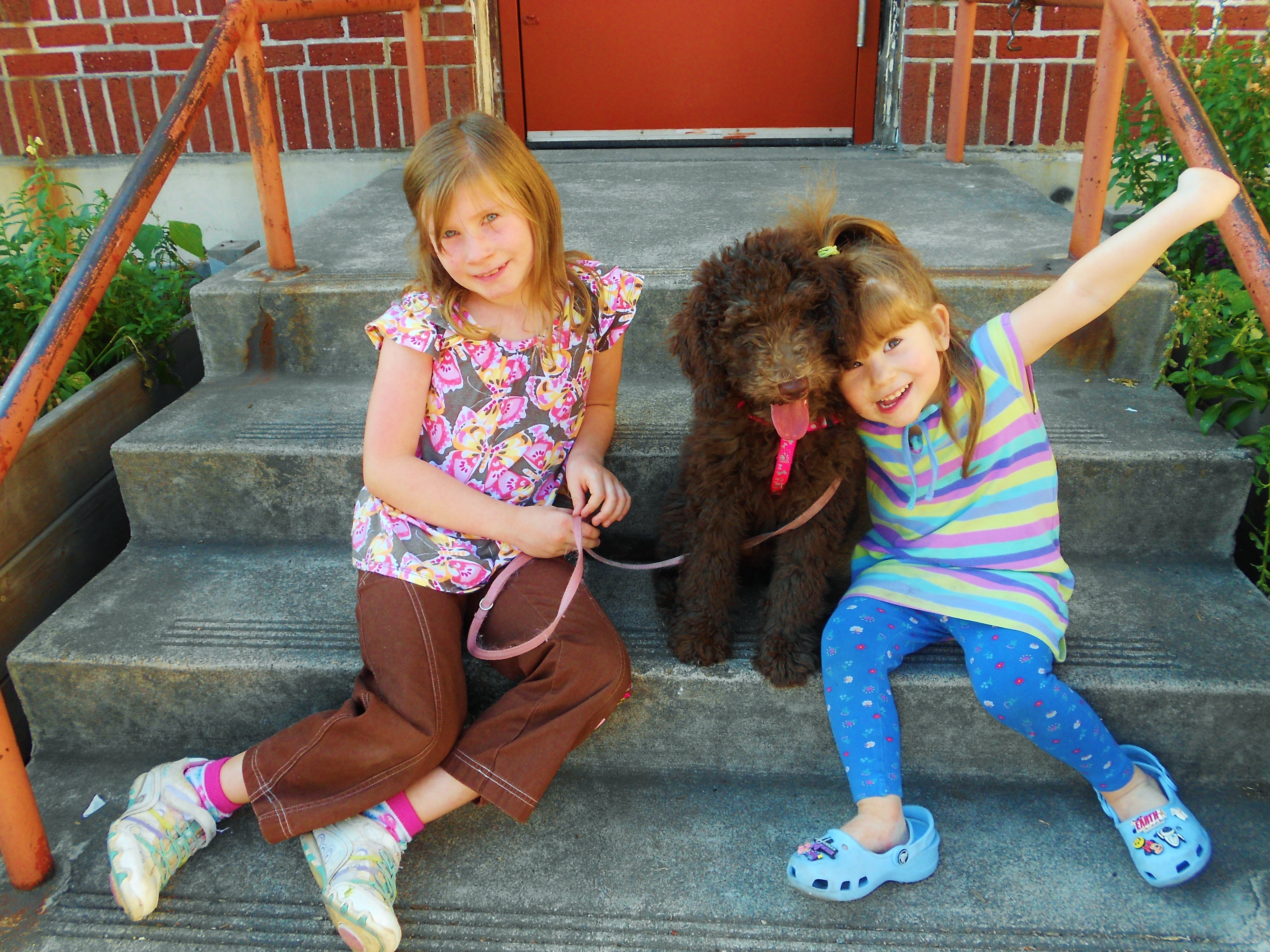 Clementine on of our F1B Labradoodle guardian puppies and her little girls