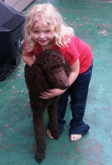 Our Chocolate Standard Poodle and Our Daughter