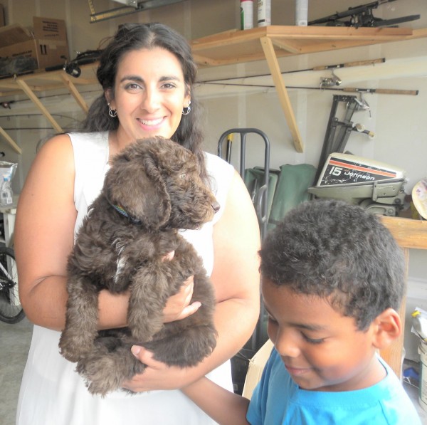 Multigen Labradoodle Puppy "Rio" and his new family..