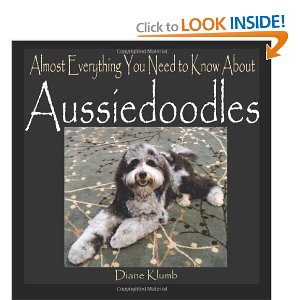 Almost Everything You Need to Know About Aussiedoodles