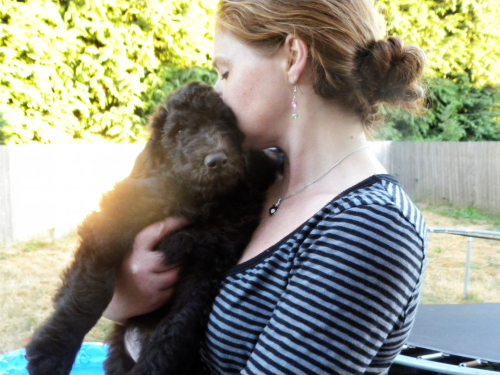 Me and one of our F1B Labradoodle Males ... these puppies are such cuddly Teddy Bears!!