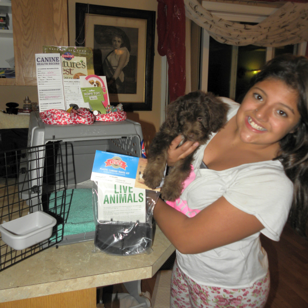 My daughter and me getting a Mini Aussiedoodle puppy ready to fly in cargoâ€¦