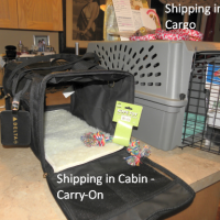 A carry on soft sided dog crate for small puppies and a standard size puppy crate for shipping